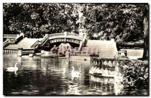 Old Postcard Dijon Darcy Walk Swans