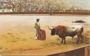 Bullffighting. Llamando al toro Old vintage Spanish postcard