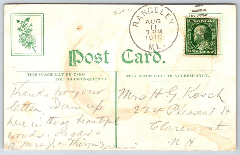 Rangeley Lakes Maine~Mingo Spring House Interior~Stone Fireplace~Office~1910 B&W