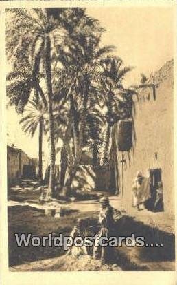 Une Rue Dans I'Oasis Alger Algeria, Africa, Unused 