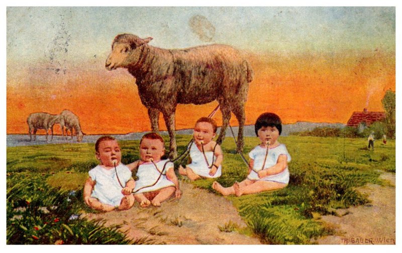 4 babies drinking milk thru tubes from a sheep