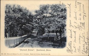 Beachwood Maine ME Hayward Avenue c1910 Vintage Postcard