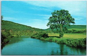 VINTAGE POSTCARD MARGAREE FORKS BRIDGE POOL CABOT TRAIL CAPE BRETON NOVA SCOTIA