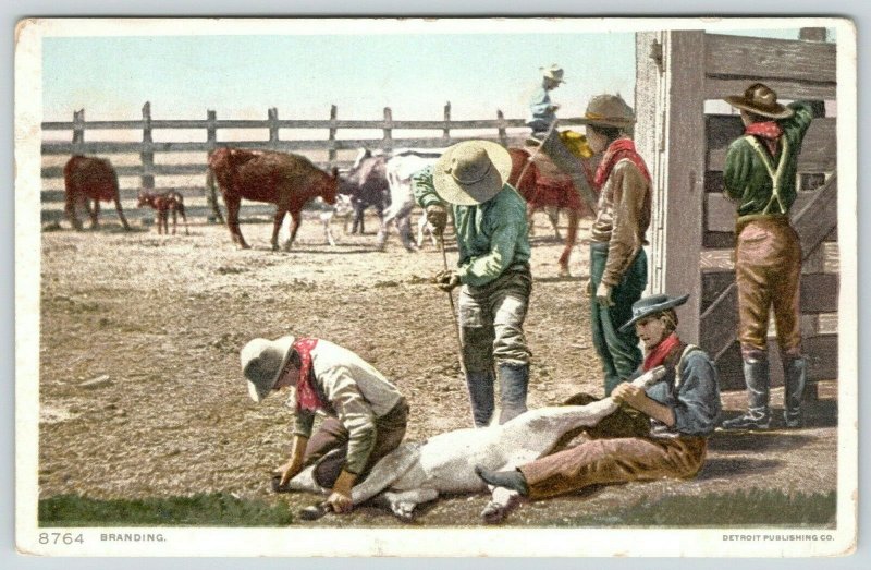 Western~Cow Hands Branding a Calf in a Coral~#8764 Detroit Pub Co~1910 Postcard 