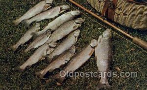 High Sierras of Cal, USA Fishing 1974 postal used 1976