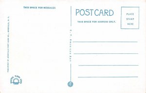 H84/ Orlando Florida Postcard c1915 American Legion Building 54