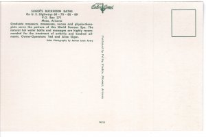 US    PC3153  SLIGER'S BUCKHORN BATHS, MESA, AZ