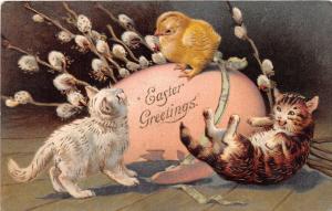 KITTENS PLAY~PUSSY WILLOW~CHICK COMING OUT OF EGG~EASTER GREETING POSTCARD 1909