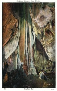 Vintage Postcard 1930's Carlsbad Cavern The Elephant Ear New Mexico Jay Leck