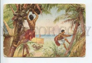 431847 German Colony PAPUA NEW GUINEA Coconut Pickers Vintage postcard