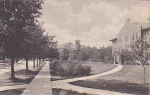 Michigan Mt Pleasant View On The Campus Central State Normal School Albertype