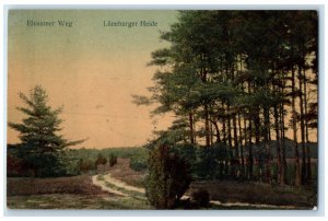 1910 Lüneburg Heath Lonely Path Luneburg Lower Saxony Germany Postcard