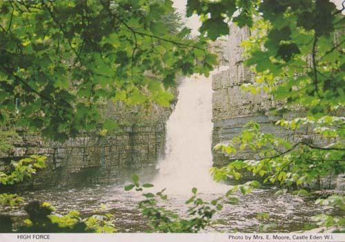 High Force Waterfall Castle Eden Durham Rare Womens Institute Photo Postcard