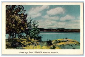 1950 River View Greetings from Plummer Ontario Canada Posted Postcard