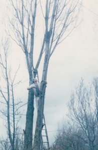 Tree Surgeon Repair Man Cutting Down Trees Keyworth Nottingham Village Postcard