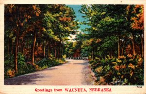 Nebraska Greetings From Wauneta With Country Road Scene