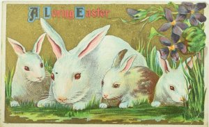 Circa 1910 Easter Bunnies and Flowers Embossed Vintage Postcard P54