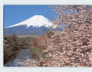 Postcard Mt. Fuji as seen from Oshino-mura Yamanashi & Cherries in Bloom Japan