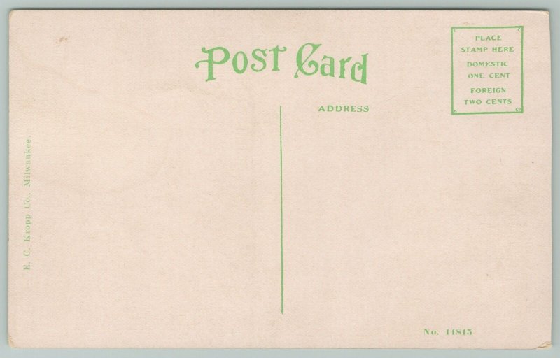 Peru Indiana~Carnegie Library~1920s Postcard