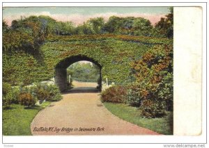 BUFFALO , New York , PU-1906 ; Ivy Bridge in Delaware Park