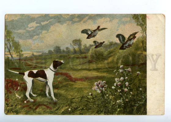 151029 HUNT Dog POINTER & Perdix Vintage Colorful PC