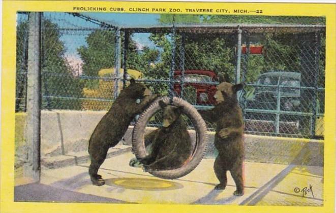 Michigan Traverse City Frolicking Bear Cubs Clinch Park Zoo 1953