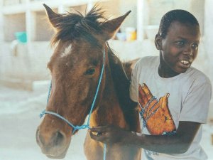 Omar, 15 with his Horse Sokone Senegal Brooke Action for Working Horses Postcard