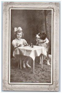 Louisburg Minnesota MN Postcard Little Girl And Dog Tea Served For Two 1911