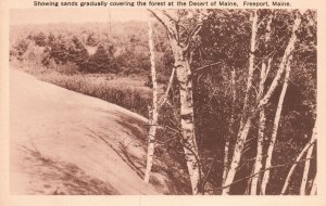 Vintage Postcard 1910's Sands Covering The Forest at Desert Freeport Maine ME