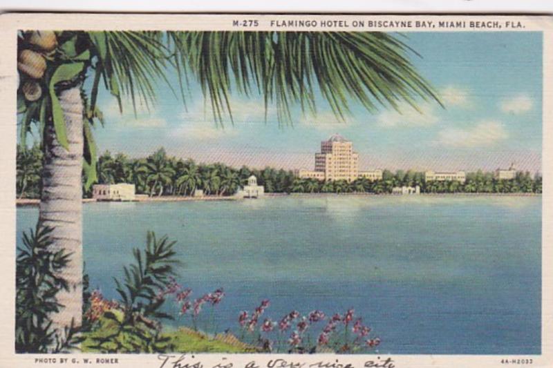 Florida Miami Beach Flamingo Hotel On Biscayne Bay 1935 Curteich