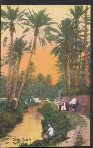 Africa Postcard - Dans L'Oasis   BH6374