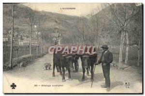 Old Postcard Folklore Auvergne Auvergne hitch