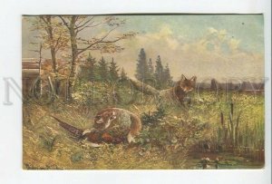 462038 MULLER Mueller HUNT pheasant FOX Vintage postcard TSN #1041