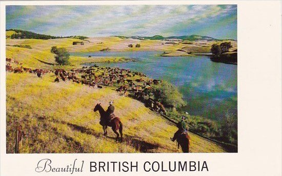 Canada Ranch Country Interior Of British Columbia Victoria British Columbia