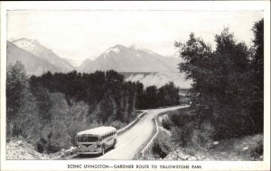 Yellowstone Park Wyoming WY Touring Bus Tourbus Vintage Postcard