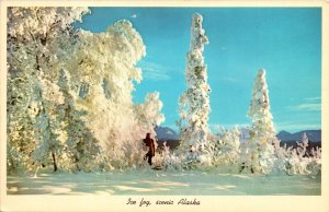 Ice Fog Snow Covered Winter Scene Alaska ALPerson Mountains Postcard VTG UNP 