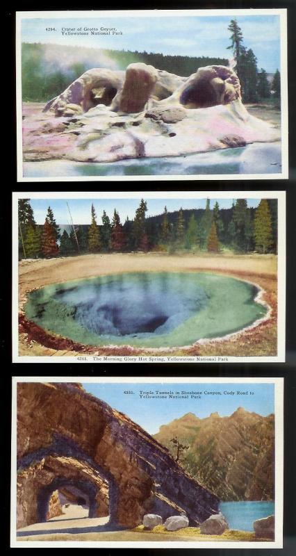 USA (31) Diff Western Scenery Yellowstone unused c1920-1940