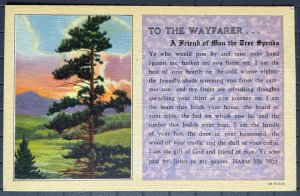 Vintage Postcard 1934 TO THE WAYFARER: A Friend of Man the Tree Speaks Poem