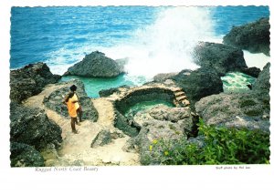 Rugged North Coast Beauty, Jamaica, Used