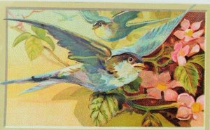 1880's Mandarin Tea Co. Coffees Beautiful Blue Wild Birds Flowers P78