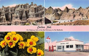 Cactus Flat Gas Station Badlands SD