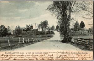 Tuck 069 Easthampton Mass View on Glendale Street c1907 UDB Vintage Postcard O02