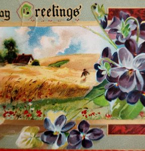 Raphael Tuck Birthday Greetings Postcard 201 c1910s Violet Pansies PCBG5E