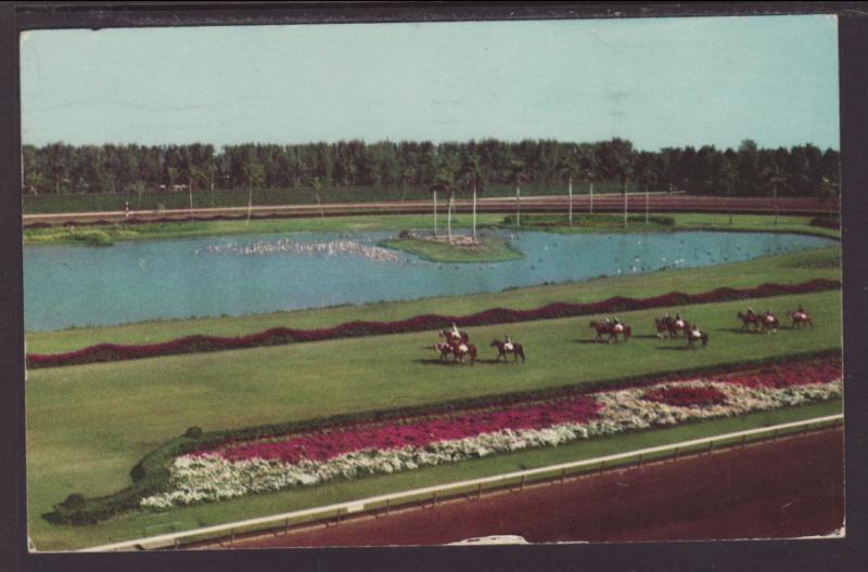 Hialeah Race Course,Miami,FL Postcard BIN