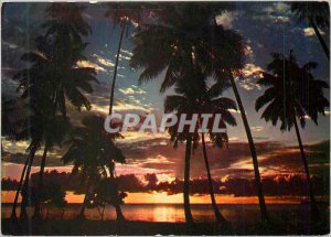 Postcard Modern Africa Colors Sunset