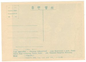 North Korea 1957 Unused Postcard Diamond Kumgang Mountains Kangwon Province