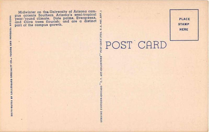 Tucson Arizona University Liberal Arts Building Antique Postcard J51288