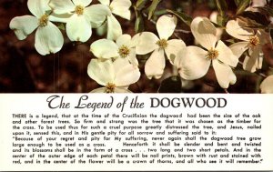 Trees The Legend Of The Dogwood Hello From The Pocono Mountains Of Pennsylvania