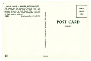 Ghost Bosque Rainier Nacional Parque Tarjeta Postal #C-333 Por Boyd Ellis