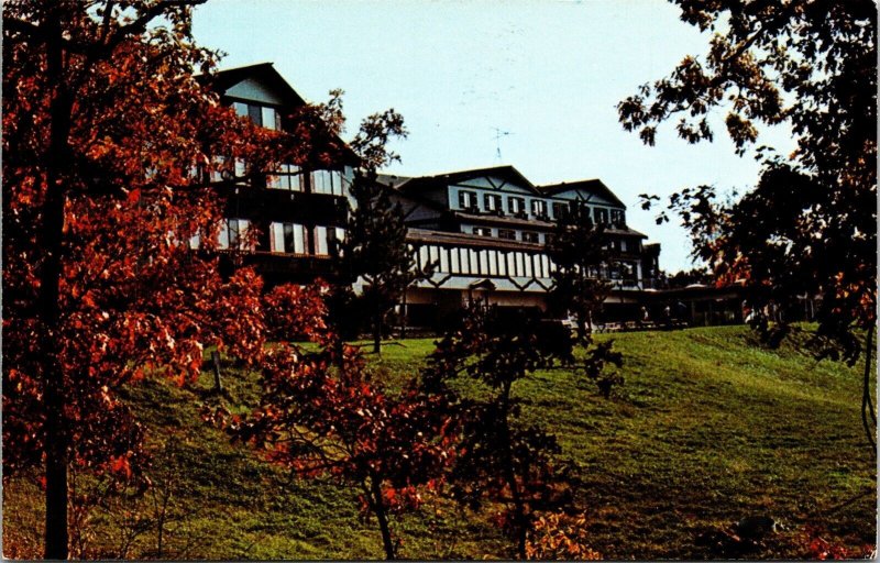 Chestnut Mountain Resort Galena Illinois IL Postcard VTG UNP Vintage Unused 